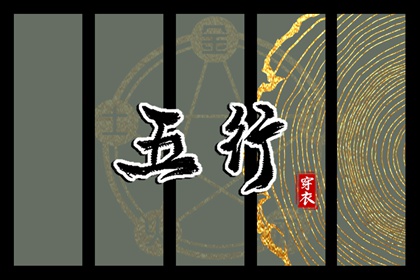 算命紫微斗数,紫微天魁星,详细命盘解析,周清河紫微斗数,八卦命盘查询